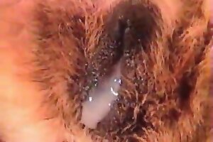 zoophilia stories,zoophilia