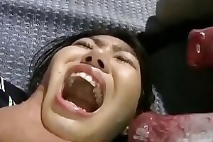 Zoo porno and bestiality